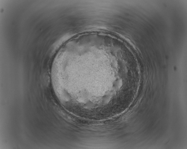 X0000067871363200604271725