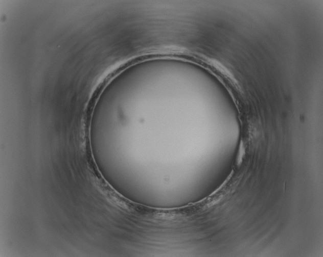 X0000067871364200604271725