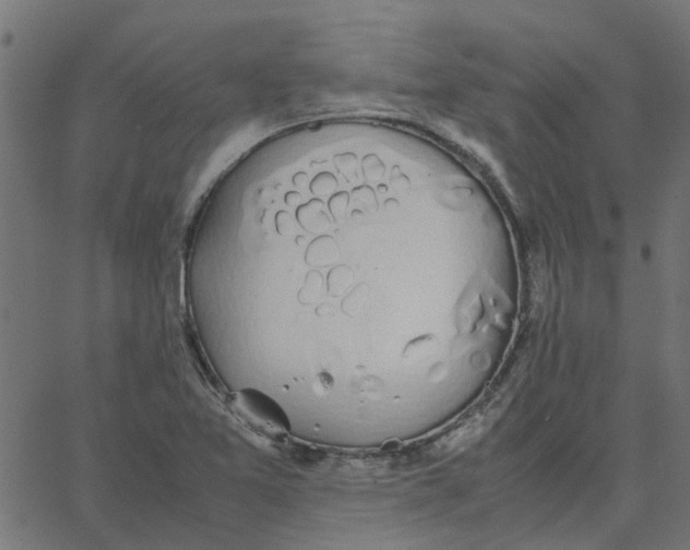 X0000067871365200604271725