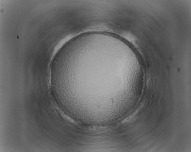 X0000067871366200604271725