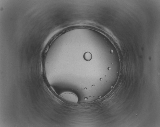 X0000067871368200604271725