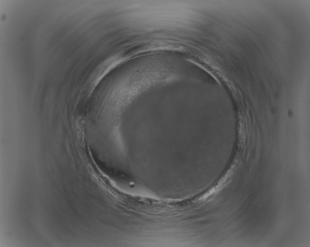 X0000067871369200604271725