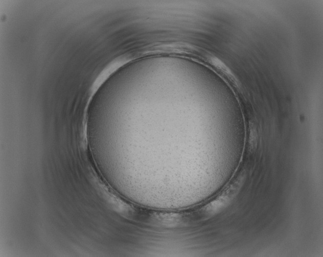 X0000067871370200604271725