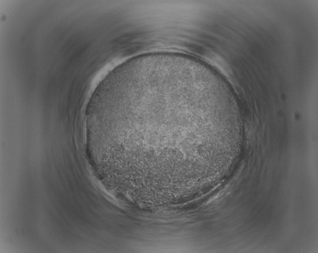 X0000067871371200604271725