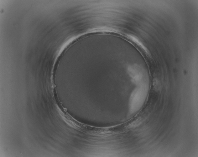 X0000067871372200604271725