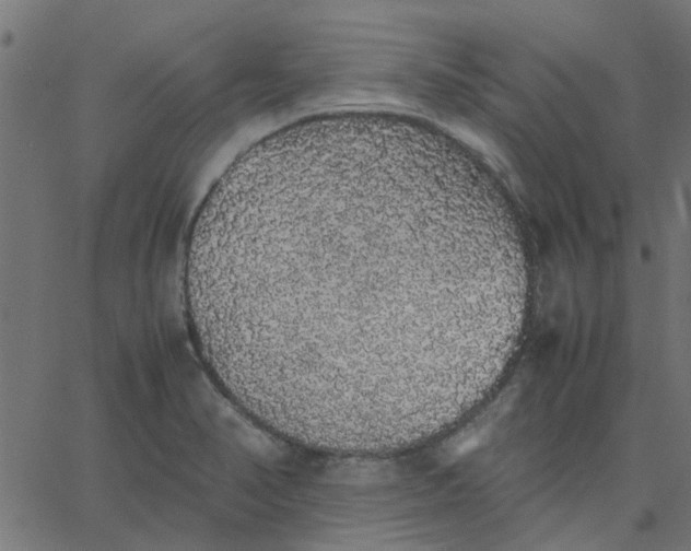 X0000067871374200604271725