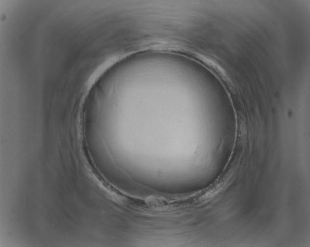 X0000067871375200604271725