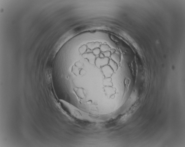 X0000067871377200604271725