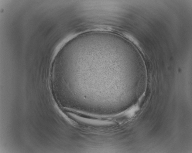 X0000067871379200604271725