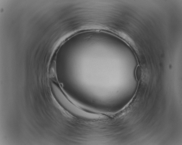 X0000067871380200604271725