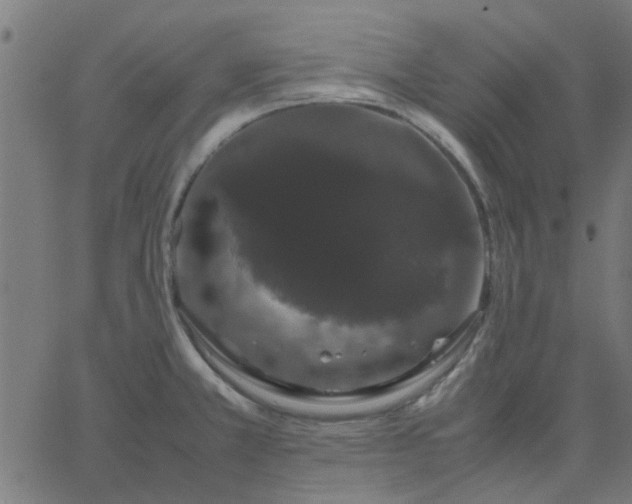 X0000067871381200604271725