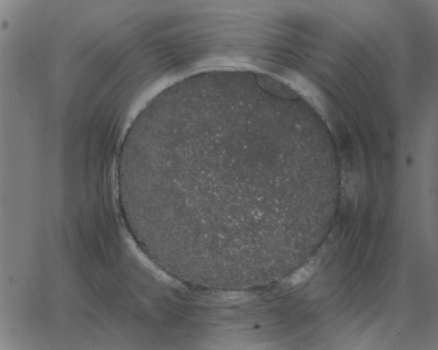 X0000067871382200604271725