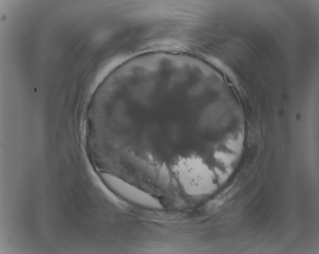 X0000067871383200604271725