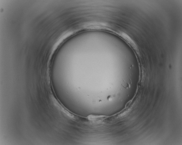 X0000067871384200604271725