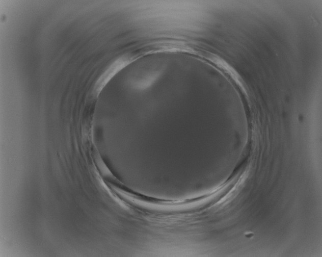 X0000067871385200604271725