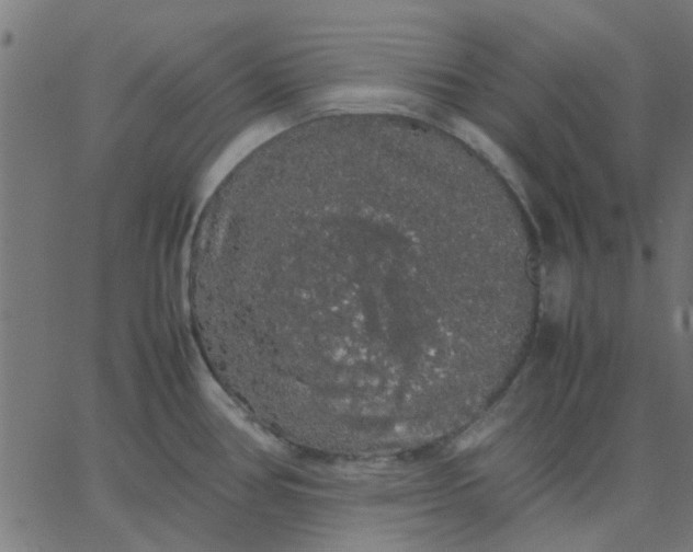 X0000067871386200604271725