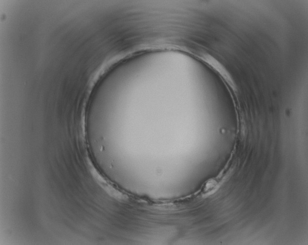 X0000067871388200604271724