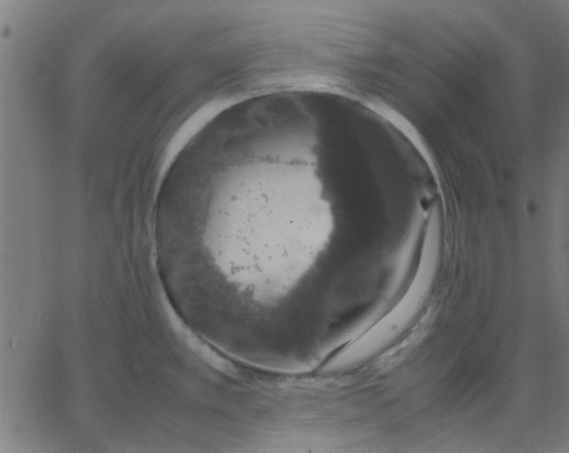 X0000067871389200604271724