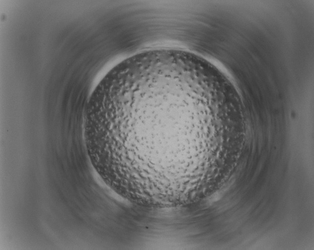 X0000067871390200604271724