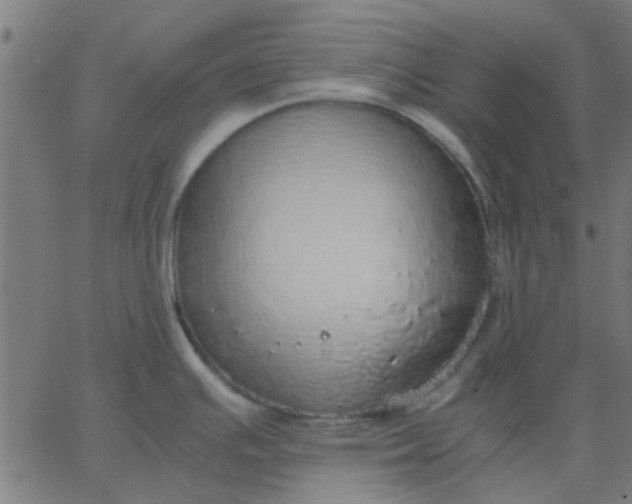 X0000067871391200604271724