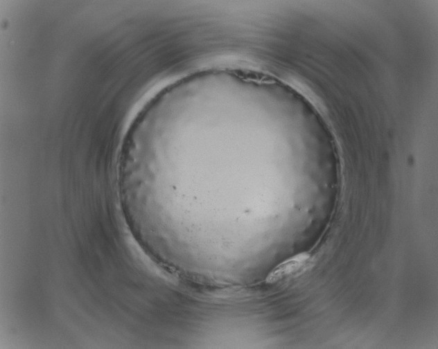 X0000067871392200604271724