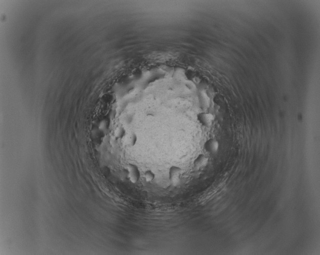 X0000067871393200604271724