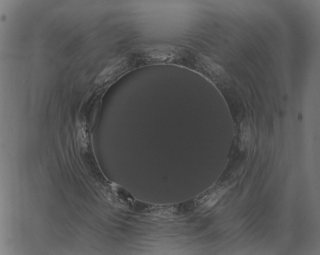 X0000067871394200604271724