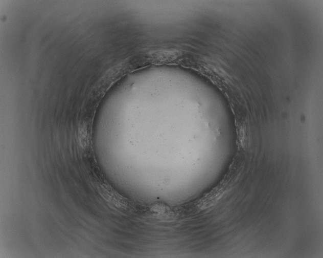 X0000067871395200604271724