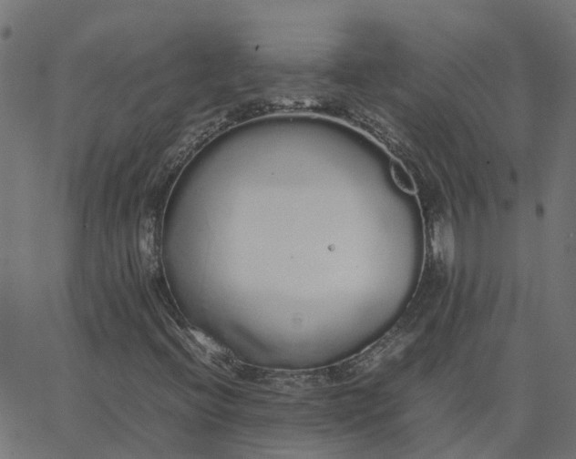 X0000067871396200604271724