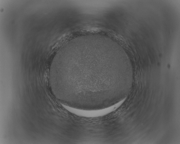 X0000067871397200604271724