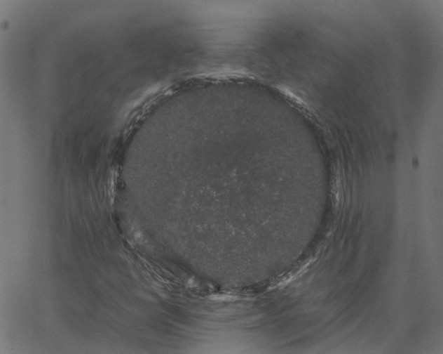 X0000067871398200604271724