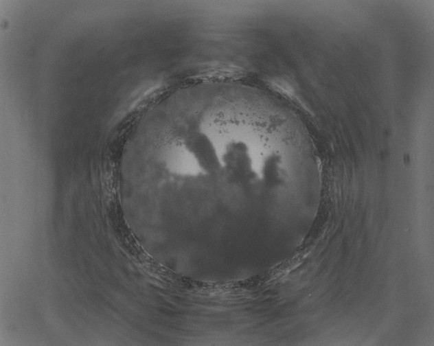 X0000067871399200604271724