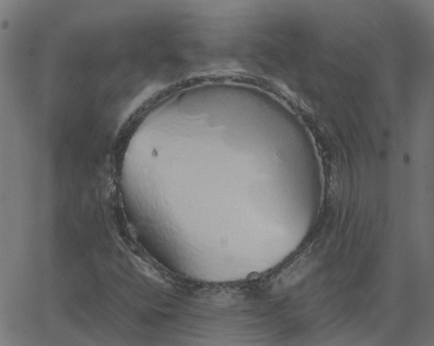 X0000067871400200604271724