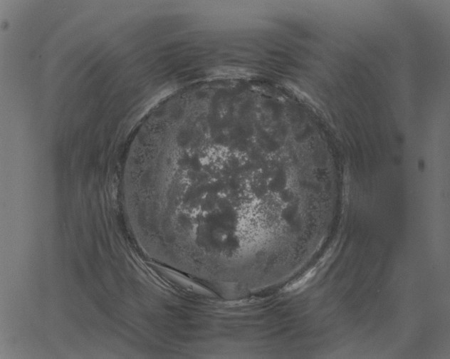 X0000067871401200604271724