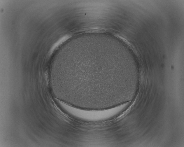 X0000067871402200604271724