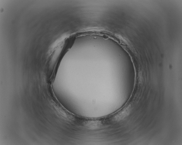 X0000067871406200604271724