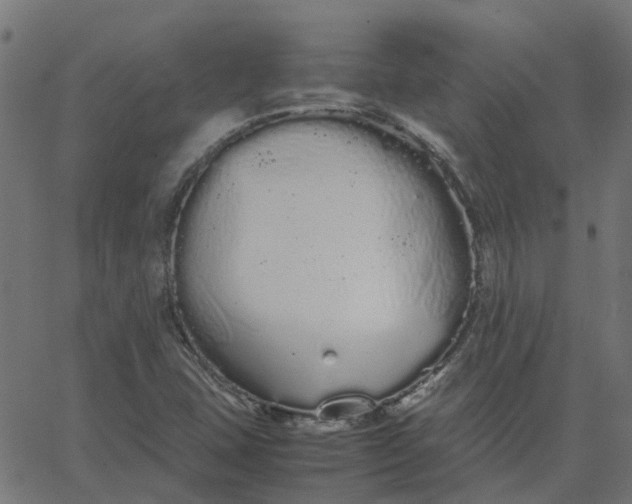 X0000067871407200604271724