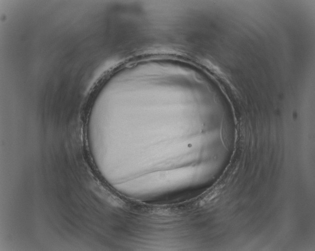 X0000067871408200604271724