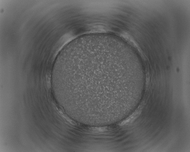 X0000067871409200604271724