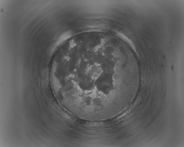 X0000067871411200604271724