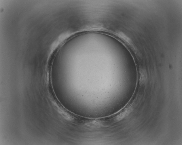 X0000067871414200604271724