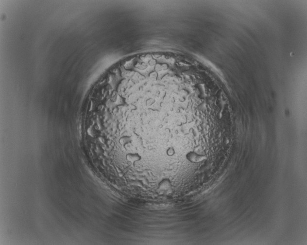 X0000067871415200604271724