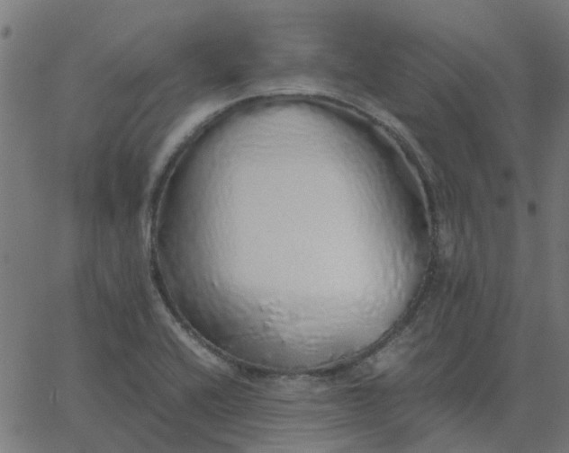 X0000067871416200604271724