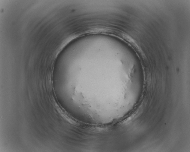 X0000067871417200604271724