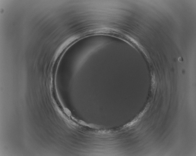 X0000067871418200604271724