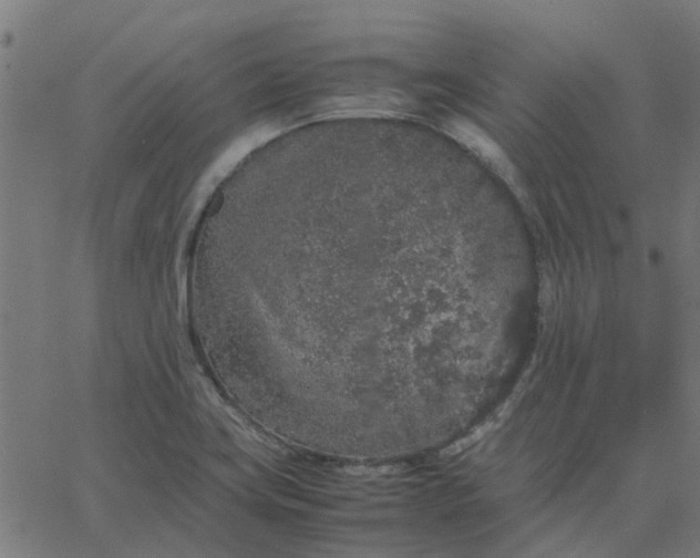 X0000067871419200604271724