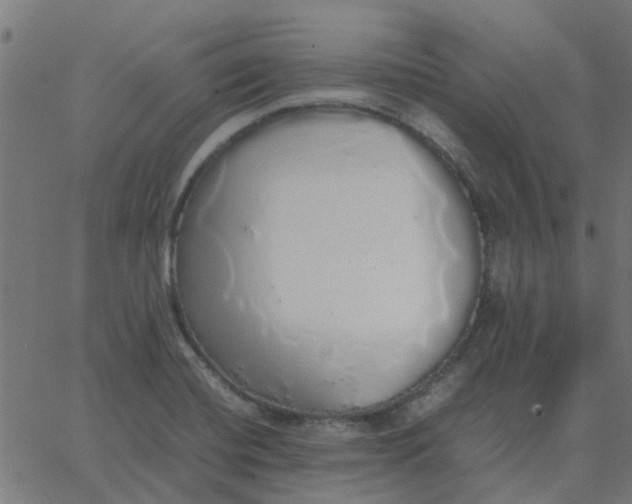 X0000067871420200604271724