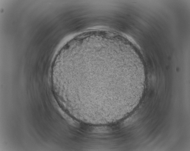 X0000067871421200604271724