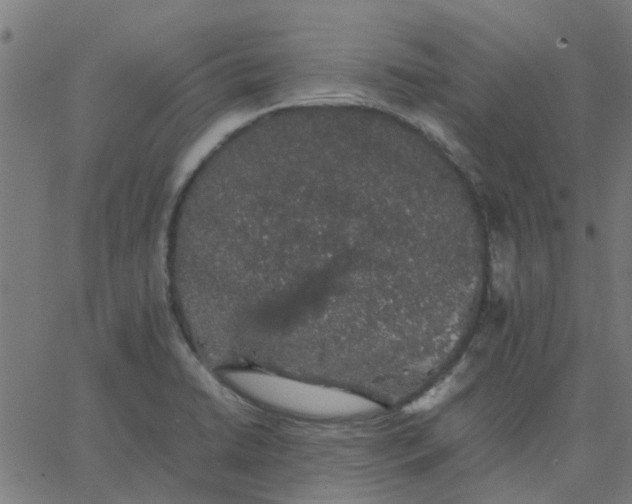 X0000067871422200604271724