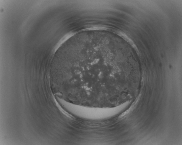 X0000067871425200604271724